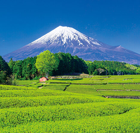 今年もよろしくお願いします。